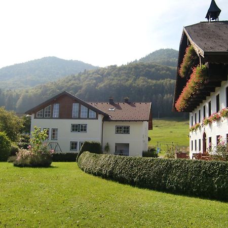 Pension Hohenau Otel Fuschl am See Dış mekan fotoğraf