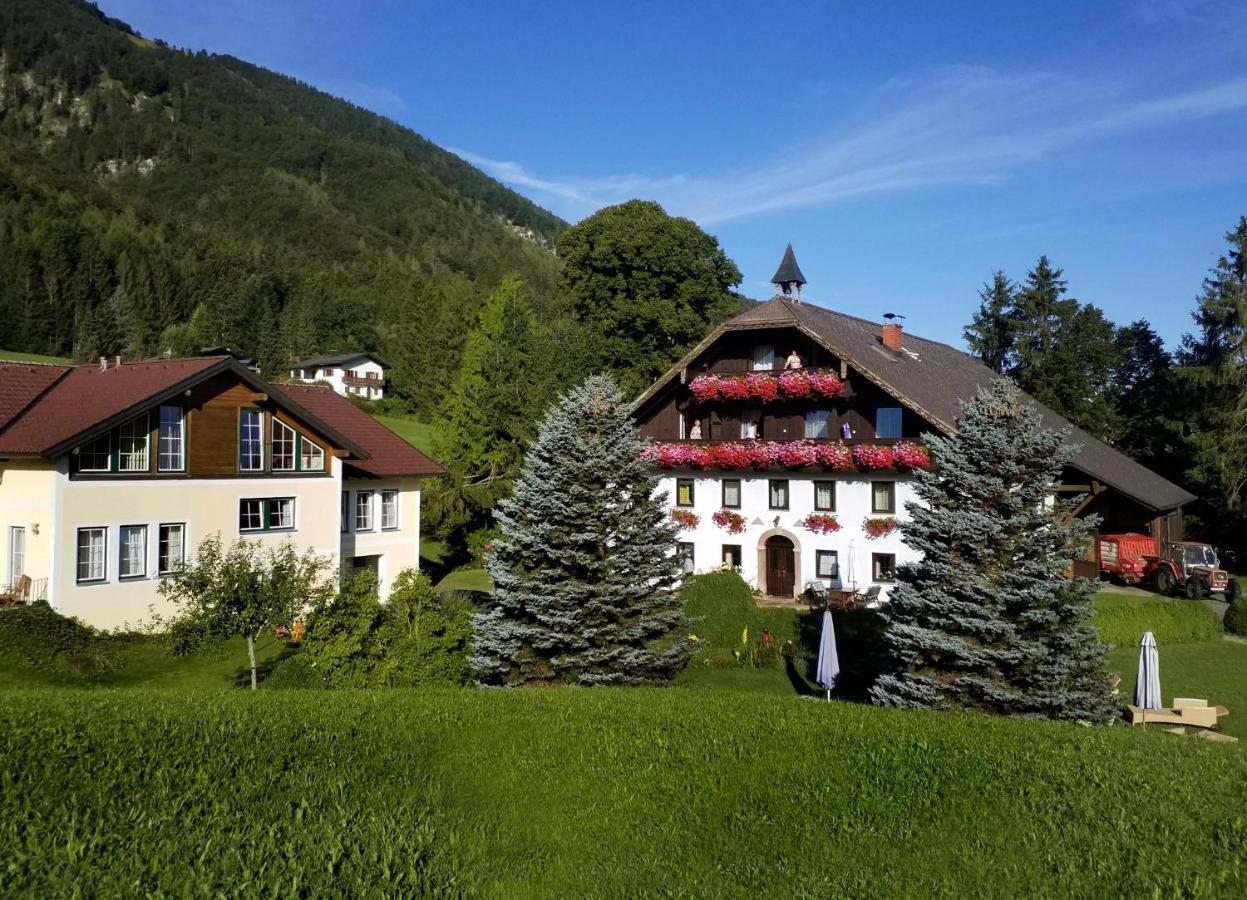 Pension Hohenau Otel Fuschl am See Dış mekan fotoğraf
