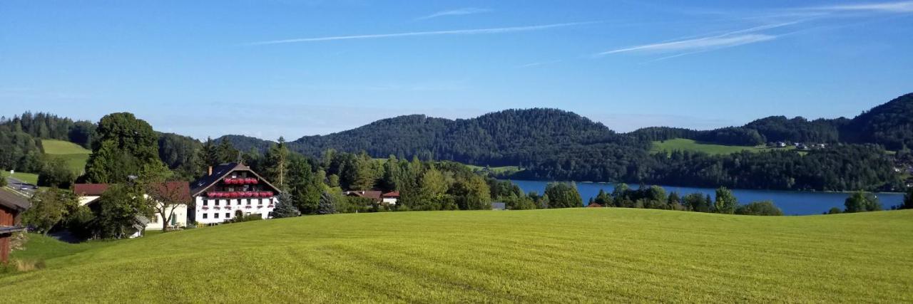 Pension Hohenau Otel Fuschl am See Dış mekan fotoğraf